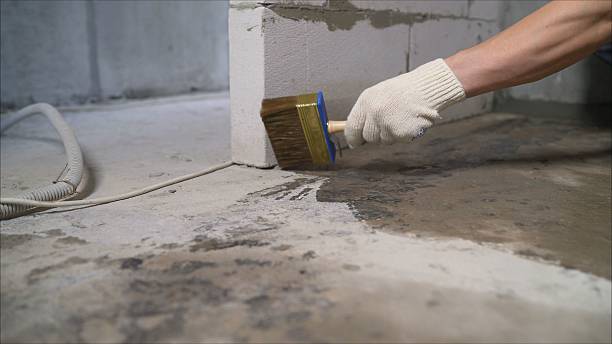 SJ Waterproofing Pros Waterproofing coverage map for Woodland, MI and surrounding area